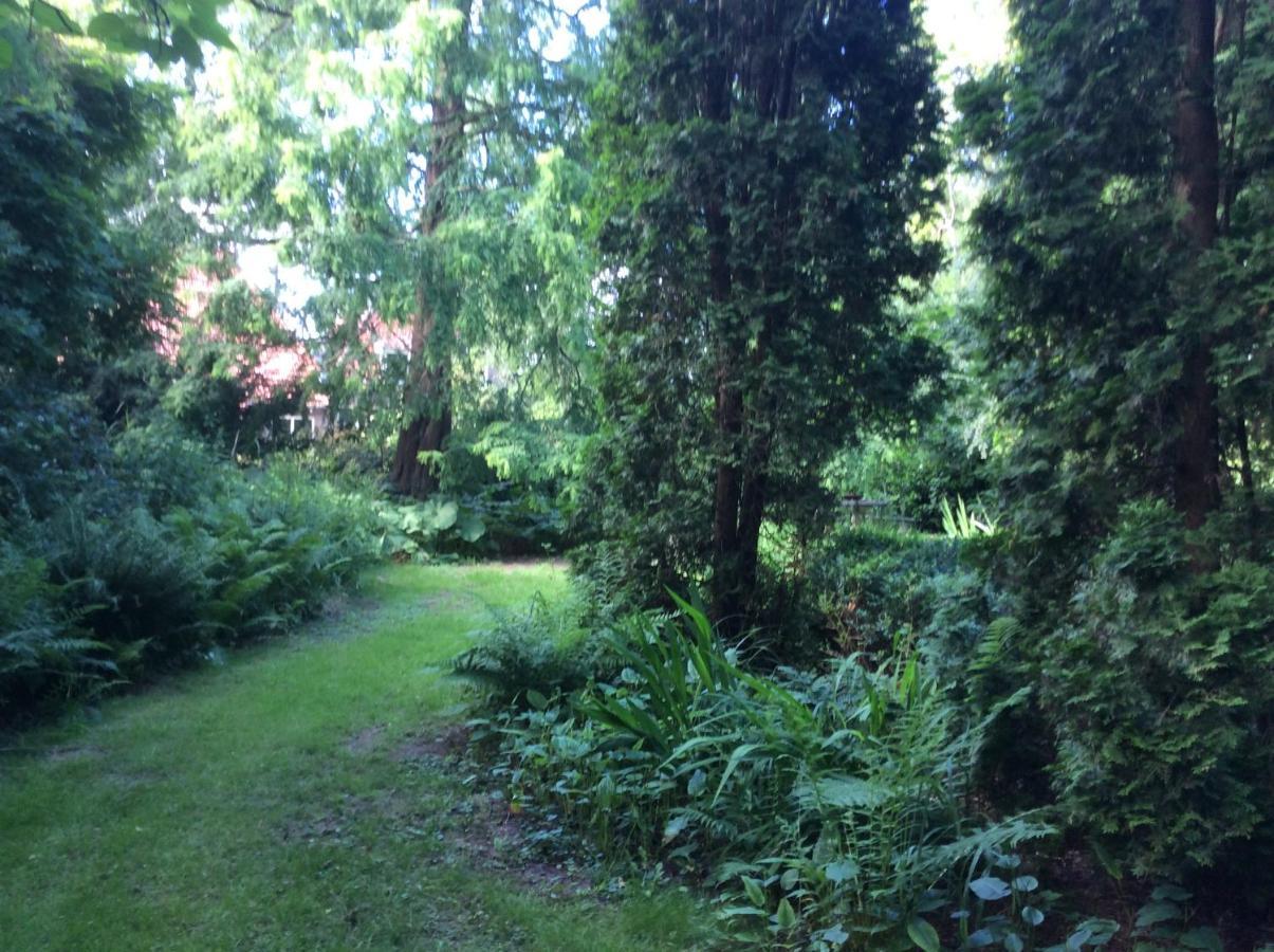 Villa Laurelin, Lothorien Noordwolde  外观 照片